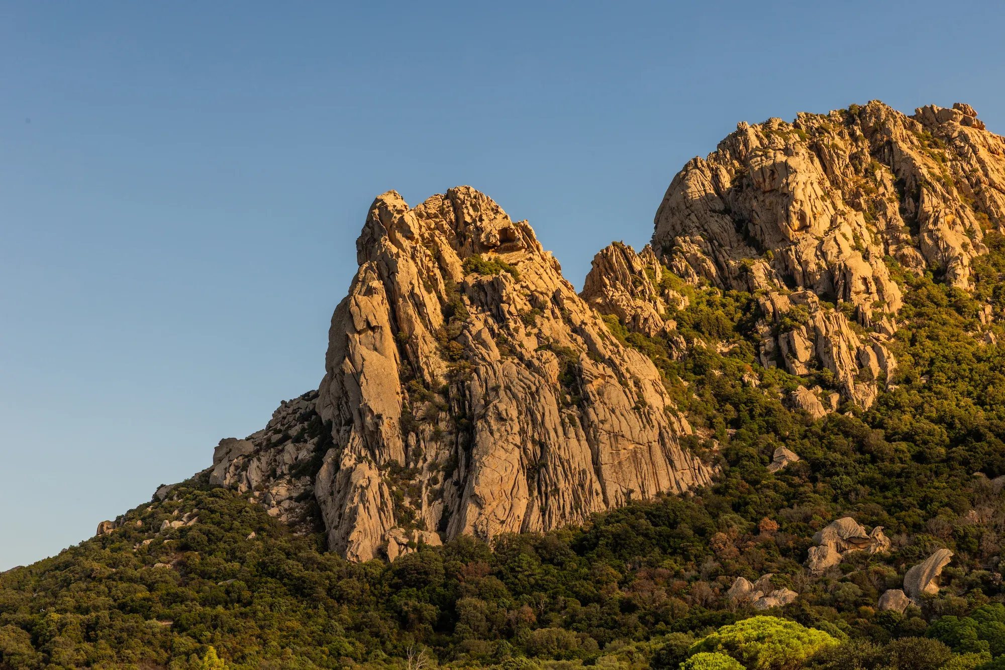 La Suera